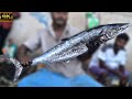 Kasimedu  mrmurugan  king seer fish cutting  in kasimedu  4k  km fish cutting