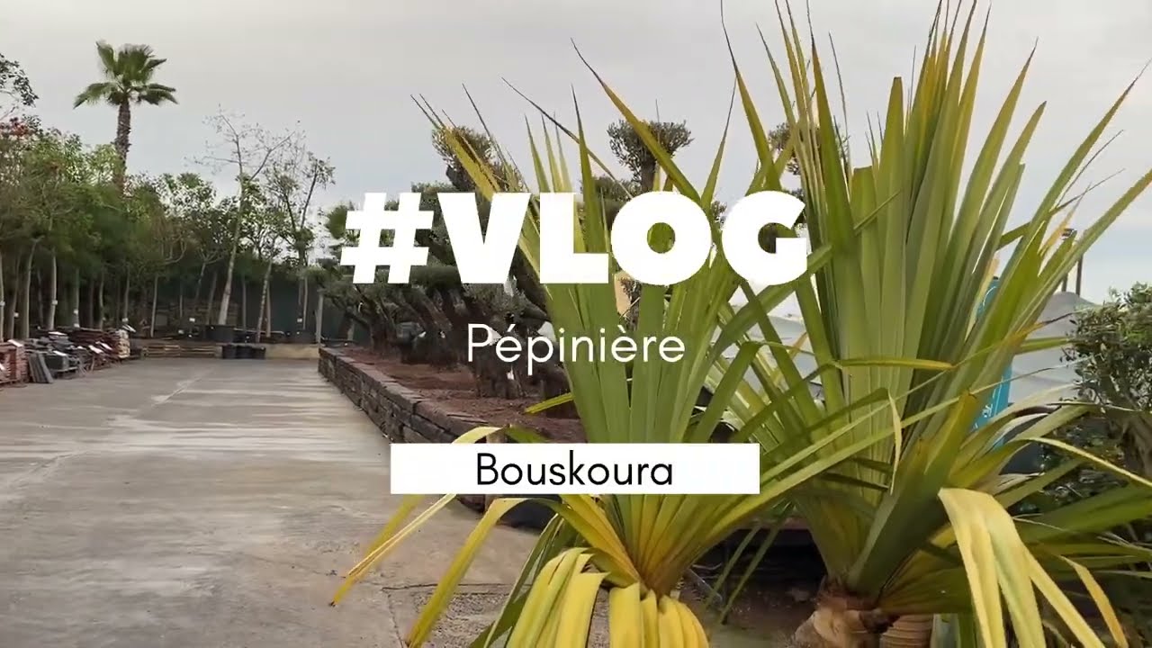 جولة في مشتل بوسكوره والذي يعد من بين أجمل المشاتل في مدينة الدار البيضاء | Arborescence Bouskoura