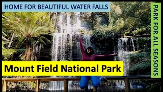 Mount Field National Park : Russell Falls and Horseshoe Falls