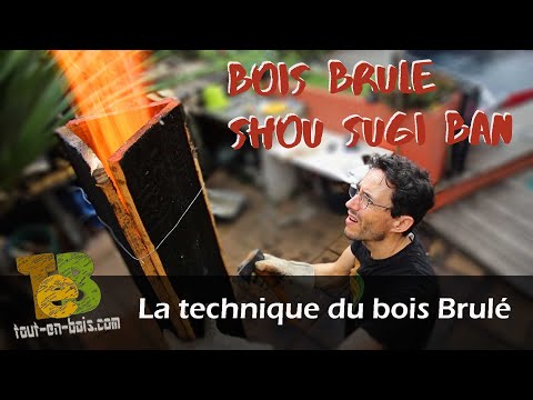 Vidéo: Comment Apprendre à Brûler Du Bois