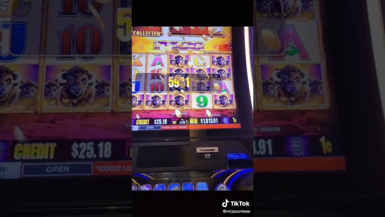 ivibet Playing Buffalo on Slot machine and getting bonus game slotmachine slots lasvegas handpay lucky