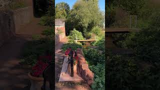 Иногда самые красивые места — не на карте, а рядом 🌍💚 #relaxing #shorts #shortvideo
