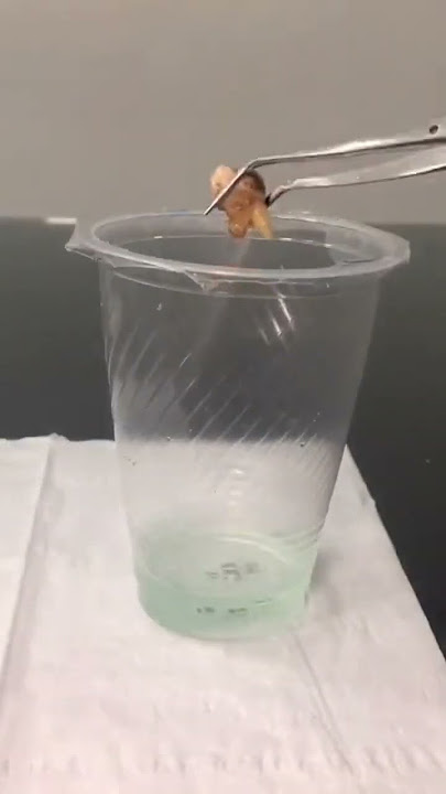 Natural ingredients to clean tartar