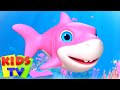 дитяча акула | Освіта для дітей | Дитячі віршики | Kids Tv Ukraine | Відео дошкільного віку