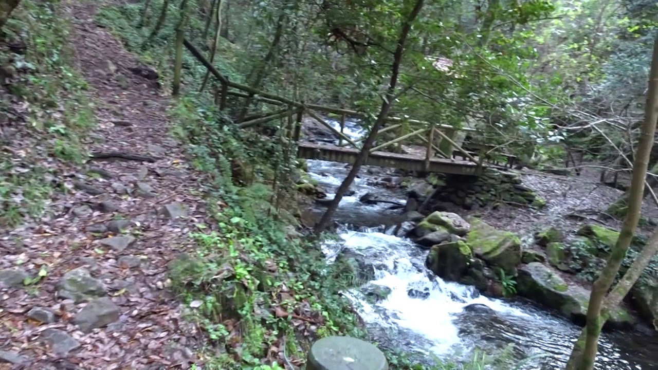 Caminho na Pedra da Ferida – Penela