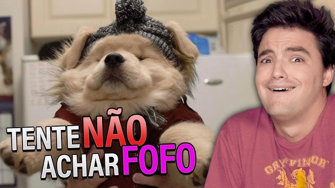 Olaaaa fofos e fofas bem vindos a o r/fofas33952 : r/Felipe_neto