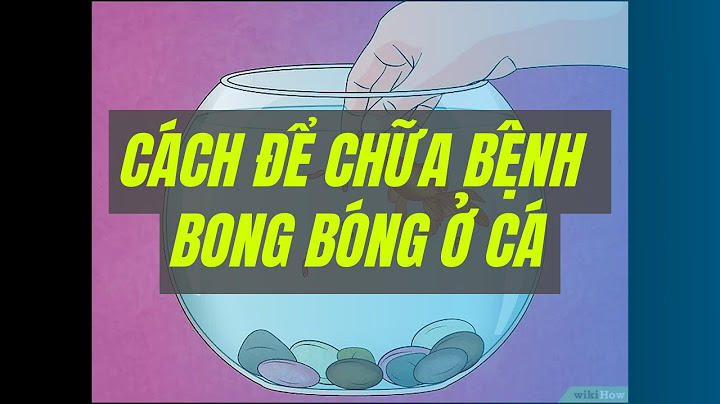 Bong bóng cá là bộ phận nào của cá