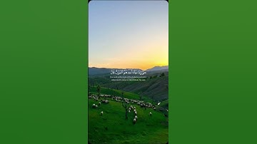 لا تهرب من القرآن الكريم #اكسبلور #دويتو #راحة_نفسية #لايك #duet #حالات_واتس #راحه_نفسيه #تيك_توك