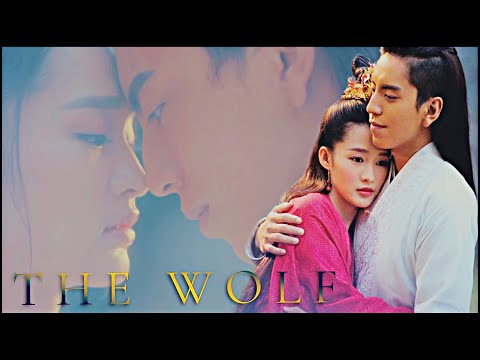 Wolfie/Lord Bo x Xing'er - Sirius (OST MV)