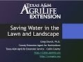 Saving water in the lawn and landscape