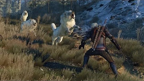 Is Skyrim bigger than Witcher 3?