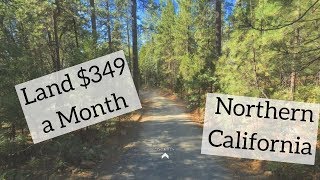 Link to buy this land:
https://www.ruralvacantland.com/properties/in-the-county-of-shasta-great-mountain-views/
rural vacant http://www.ruralvacantland...