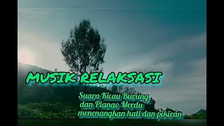 musik relaksasi suara kicau burung di sertai piano yang merdu bikin hati jadi adem