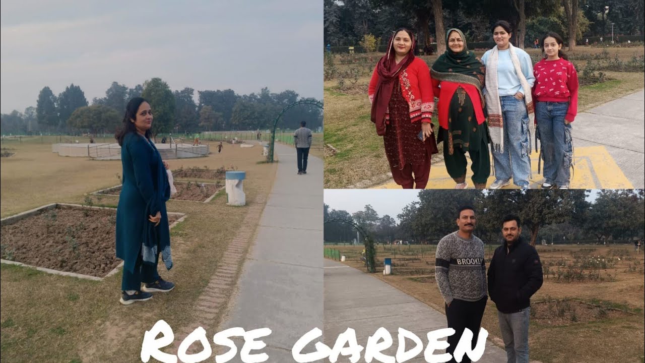 Rose garden # Sector 19 ki market # Best budget market chandigarh 