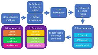 Plan bee - National Honey Bee Genetic Improvement Program