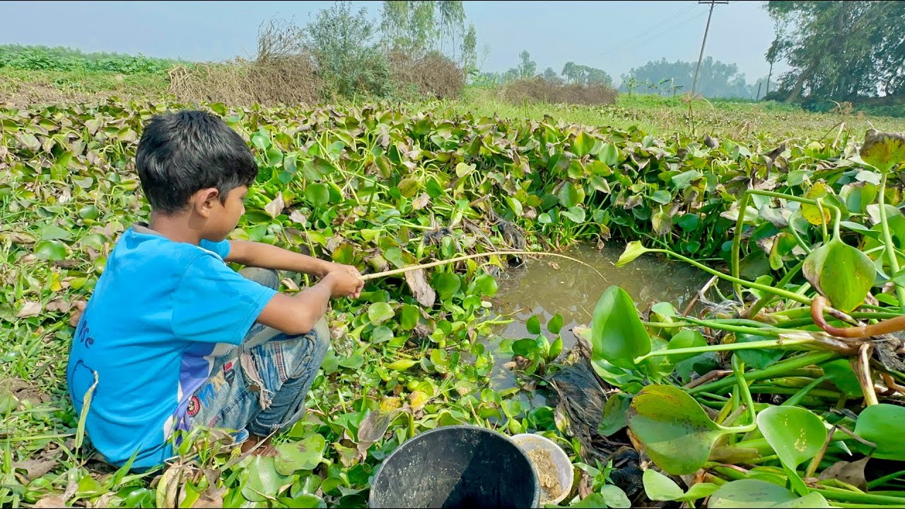 Best Fishing Video || I was amazed to see this little boy cleaning the canal and catching fish