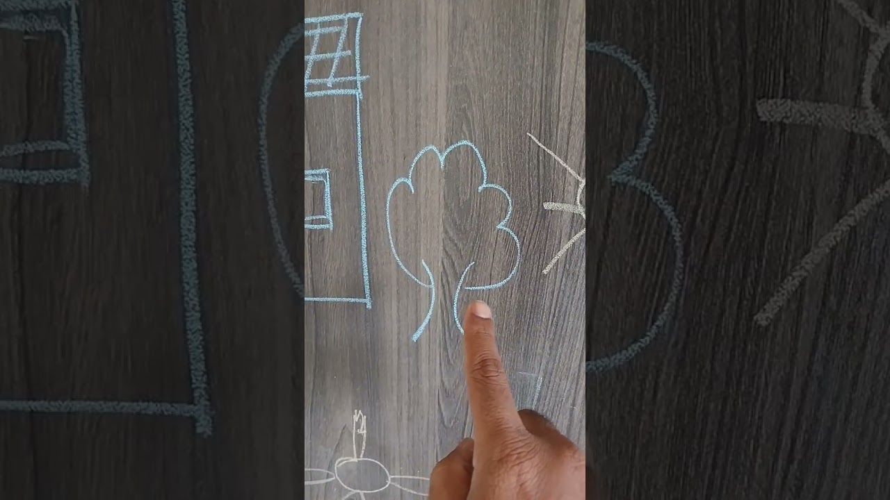 identify the names of the object