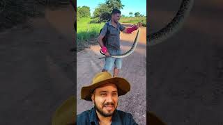 Crenças em volta da Cascavel