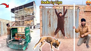 Surprisedpet House Main Bhra Shahkar Has Come 