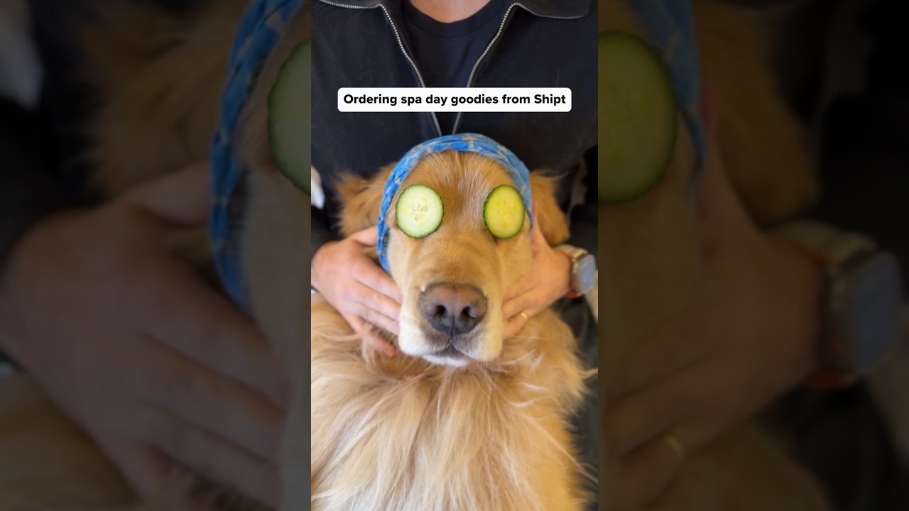 Puppy Spa Goodies delivered with Shipt 🐾