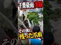 実録…千葉豪雨の後に残った爪痕がやばい