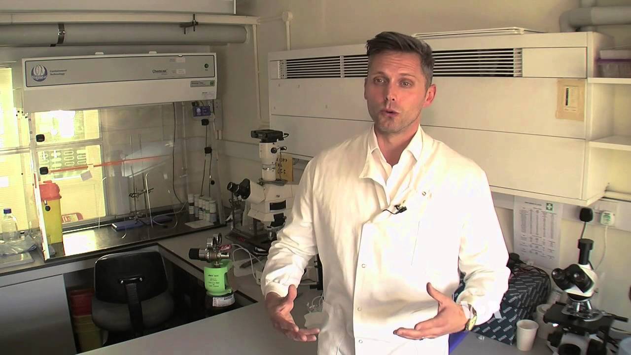 Scientists: Mosquitoes Attracted By Our Genes