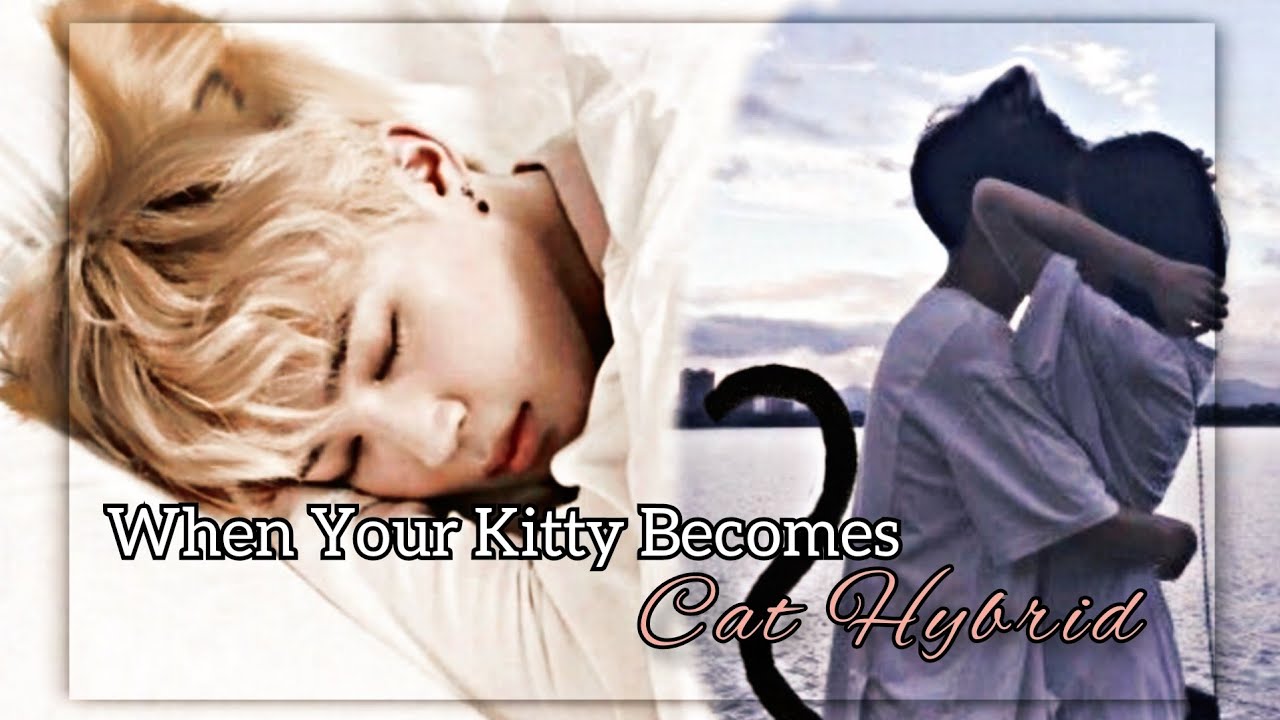 [BTS JIMIN FF] When Your Kitty Becomes Cat Hybrid | OneShot 1/2