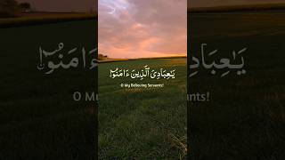 ya ibadi al lazina amanu 💖✨. #quranrecitation#qurantilawat#quranverses