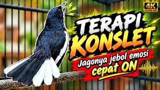 KACER GACOR KONSLET FULL ISIAN TEMBAKAN KASAR AMPUH MERANGSANG EMOSI KACER LAIN CEPAT ON BUKOR