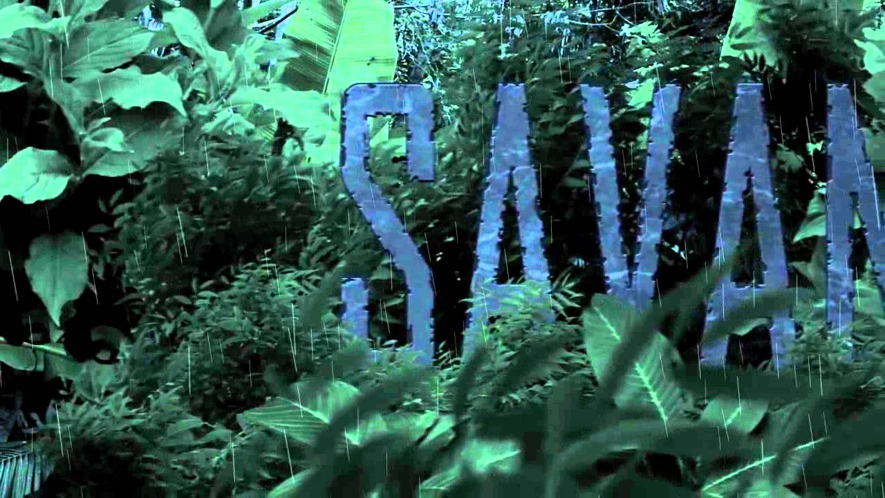 Savana Moldoveneasca | ÎÎÎÎ facut de moi !