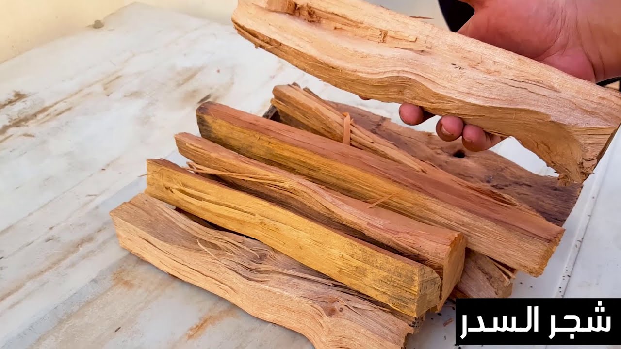 أفضل أنواع الحطب في السعودية