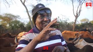 Bilionea Wa Mifugo Kutoka Simanjiro