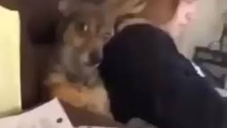 Tu Biendo La Hora Pico Y Pasaban Las Viejas Chichonas