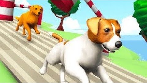 Dog Run game 🐕 | Dog Run Puppy Racing Android Gameplay - New Dog Run Game| Pet Dog Simulator 3D Game