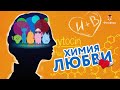 Что происходит, когда мы влюблены | Химия любви