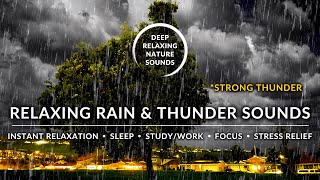 ⛈️ RAIN + Strong THUNDER for SLEEPING WELL | #RainSoundsForSleeping #HeavyRainSounds #SleepingSounds by Deep Relaxing Nature Sounds 24 views 1 year ago 3 hours