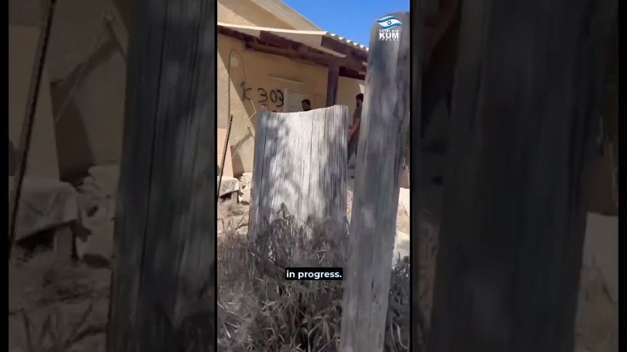 A year of rebuilding! 