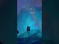 Step inside and let the journey begin