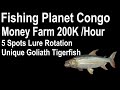Fishing planet congomoney farm 5 spots lure rotation unique goliath tigerfish 200khour