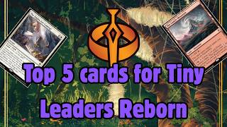 Notable New Cards For Tiny Leaders: Reborn in The Hobbit