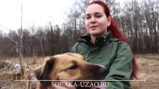 Первый Фильм О ВОЛОНТЕРАХ.Приют Щербинка ЮЗАО.SOBAKA-UZAO.RU Первый Фильм О ВОЛОНТЕРАХ.Приют Щербинка ЮЗАО.SOBAKA-UZAO.RU