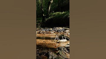 ‏تلاوة حزينة خاشعة بصوت الشيخ أنس العمادي #shots #اكسبلور #quran #انس_العمادي #البحرين