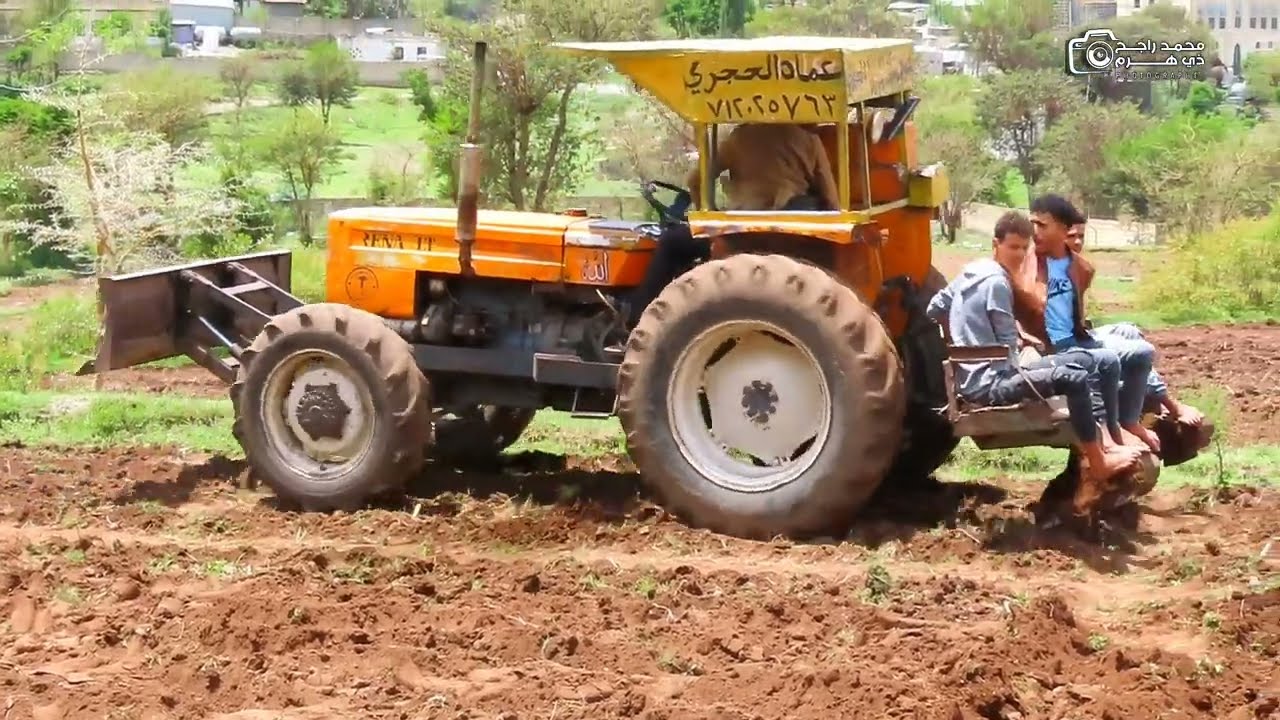 @موسم زراعة الفول_والذرة_والشام في ريف إب اليمن 16/4/2024