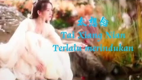 Tai Xiang Nian - 太想念 - 豆包 /terlalu merindukanmu