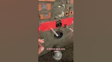 Bồn cầu bị rơi rụng | Kidohomes