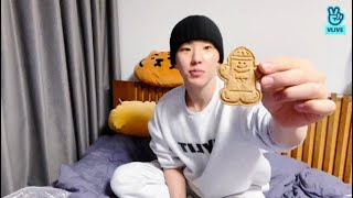 [ENG / KOR SUB] VLIVE 220119 [SEVENTEEN] 🐯