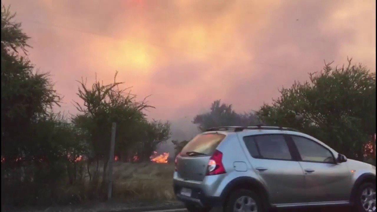 [VIDEO]: Voluntarios de Bombero combaten las llamas en Coronel de Maule
