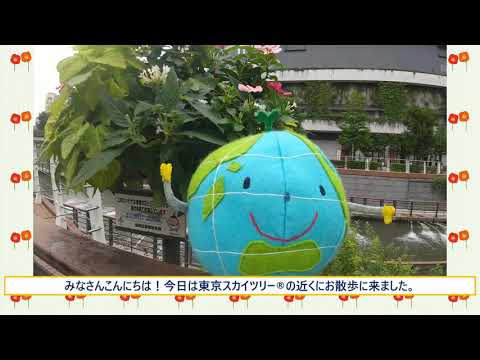 夏のお花でおうち時間も楽しく ハンギングバスケットを作ってみよう 墨田区 墨田区民ニュース
