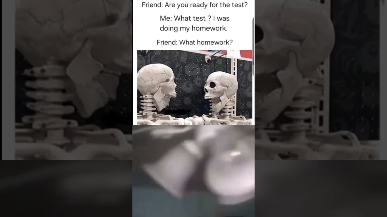 What Exam! What Homework! 💀 