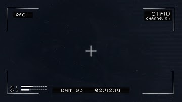 Grainy Security Camera Single Overlay CCTV style |4K| Snowman Digital